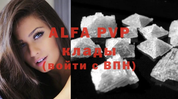 спиды Михайловск